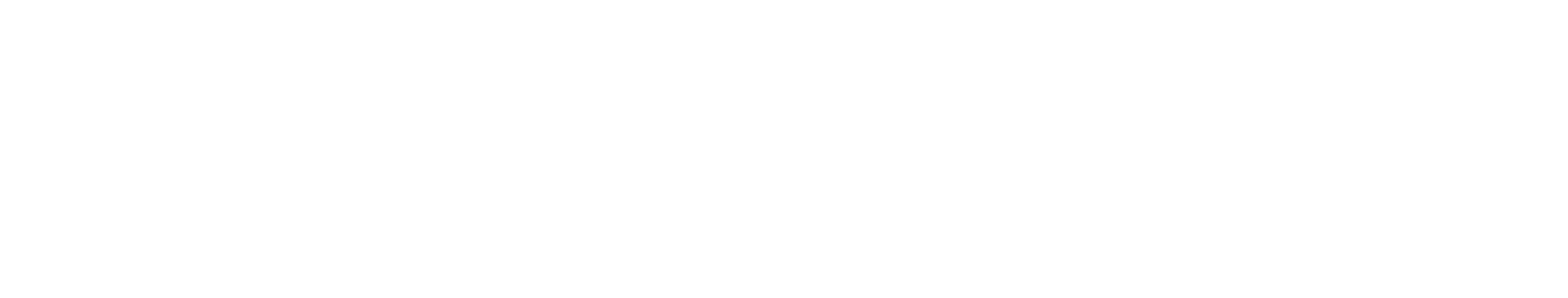 OneLution